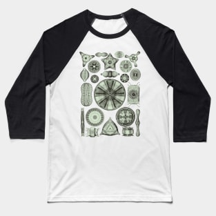 Ernst Haeckel Diatoms Olive Green Baseball T-Shirt
